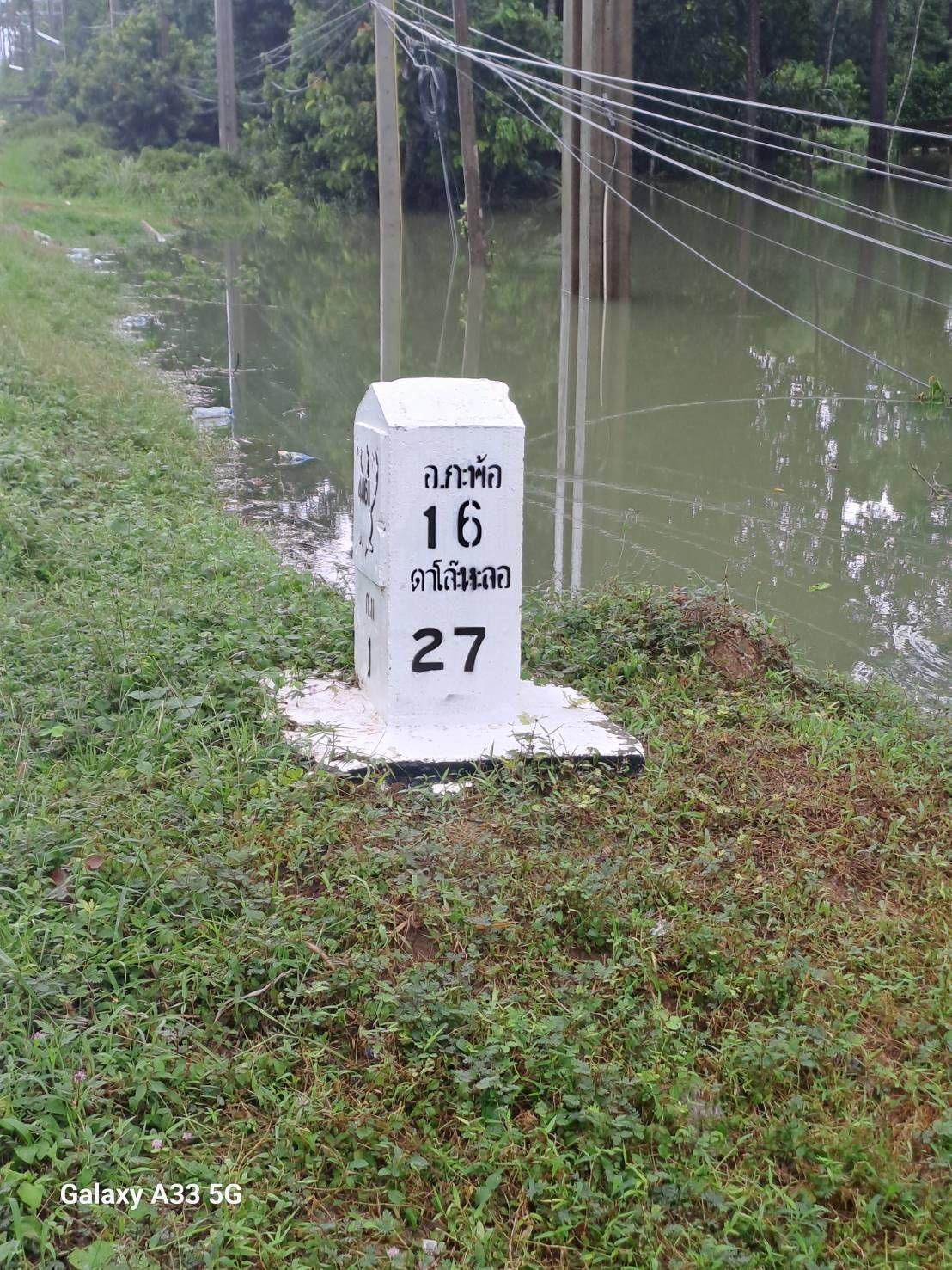 การยางฯสาขาสายบุรี จังหวัดปัตตานี สำรวจพบเกษตรกรชาวสวนยางพาราในพื้นที่ได้รับผลกระทบจากอุทกภัยจำนวน 5,520 ราย เนื้อที่ 27,595 ไร่ 6 1132162