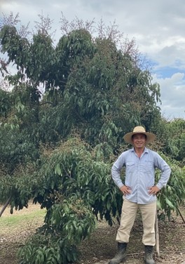 เกษตรฯ ชวนชาวสวนลำไยภาคเหนือ เข้าร่วม “โครงการพัฒนาสวนลำไยคุณภาพ” หนุนตัดแต่งทรงพุ่ม–ช่อผล ฟื้นฟูสวนลำไย เพื่อเพิ่มรายได้ ไร่ละ 1,000 บาท ไม่เกิน 10ไร่ สู่การพัฒนาสวนลำไยอย่างยั่งยืน 5 1412372