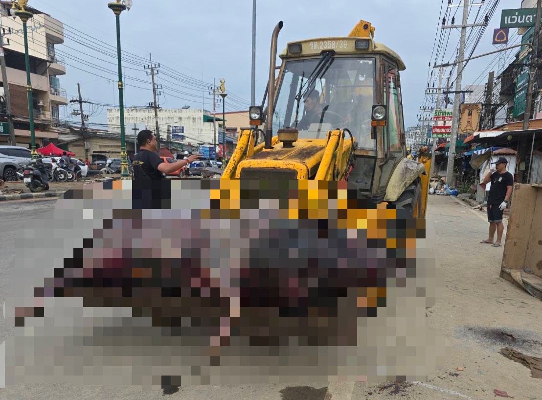 รมช.อามินทร์ มอบกรมปศุสัตว์ เร่งจัดการเก็บซากสัตว์ที่เสียชีวิตจากอุทกภัย ป้องกันโรคระบาดในพื้นที่น้ำท่วมใต้ 7 1438747