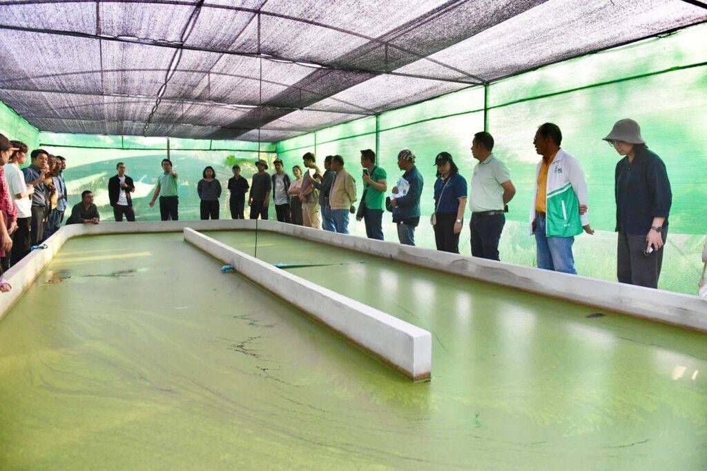 ญี่ปุ่น-ไทยร่วมผลักดันเกษตรกรรมลดก๊าซเรือนกระจก ผ่านระบบฉลากสิ่งแวดล้อม “Mieruka” มุ่งสู่เป้าหมายคาร์บอนสุทธิเป็นศูนย์ พร้อมจับตา “ผำ” ถูกจัดเป็นศัตรูพืชกักกันใหม่ ญี่ปุ่นห้ามนำเข้าสินค้าเกษตรไทยที่ปนเปื้อน 4 1966420