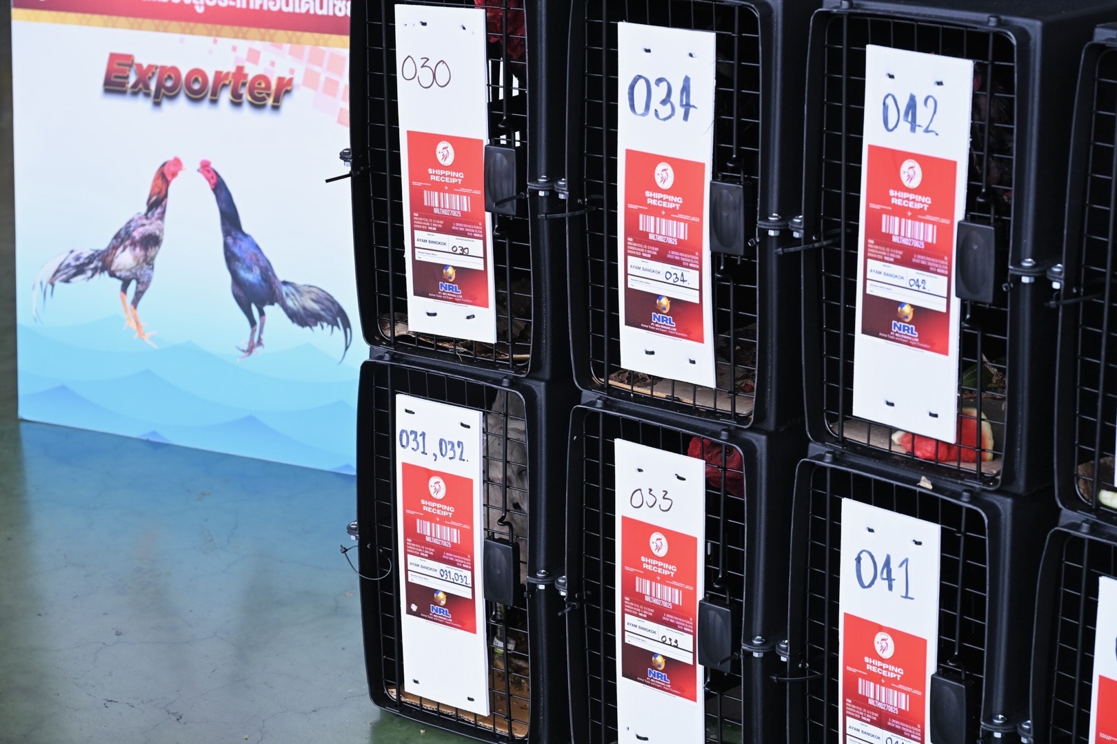 อธิบดีกรมปศุสัตว์ ติดตามความก้าวหน้าการส่งออก “ Ayam Bangkok” ไปอินโดนีเซีย สร้างรายได้เข้าประเทศไปแล้วกว่า 50 ล้านบาท 7 223970