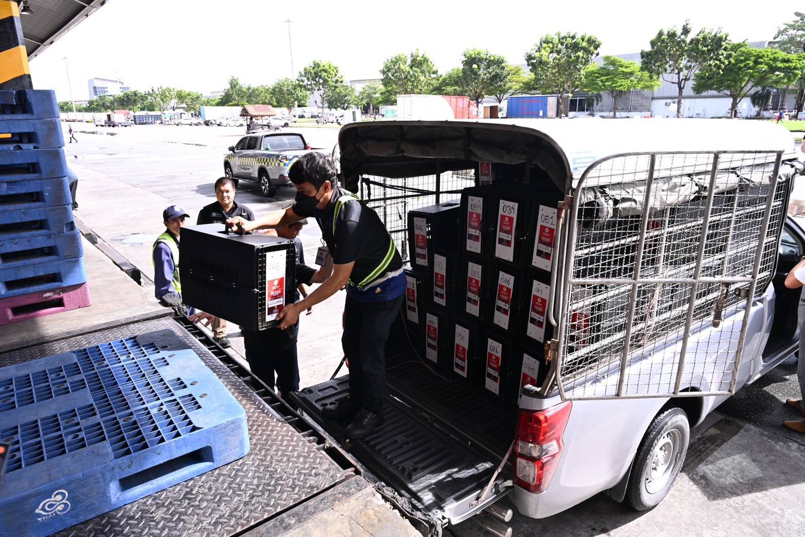 อธิบดีกรมปศุสัตว์ ติดตามความก้าวหน้าการส่งออก “ Ayam Bangkok” ไปอินโดนีเซีย สร้างรายได้เข้าประเทศไปแล้วกว่า 50 ล้านบาท 9 223978