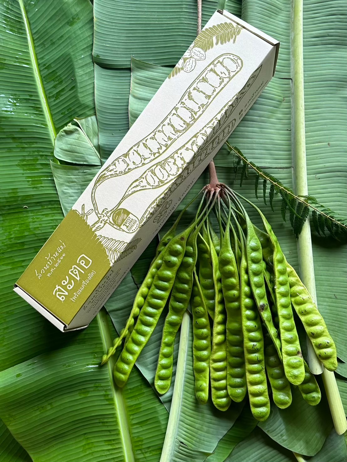 Young Smart Farmer จ.พังงา ยกระดับมังคุดอินทรีย์ แบรนด์ ‘สวนบ้านแม่’ ผลิตและแปรรูป พร้อมขยายตลาดในอนาคต 10 22517 0