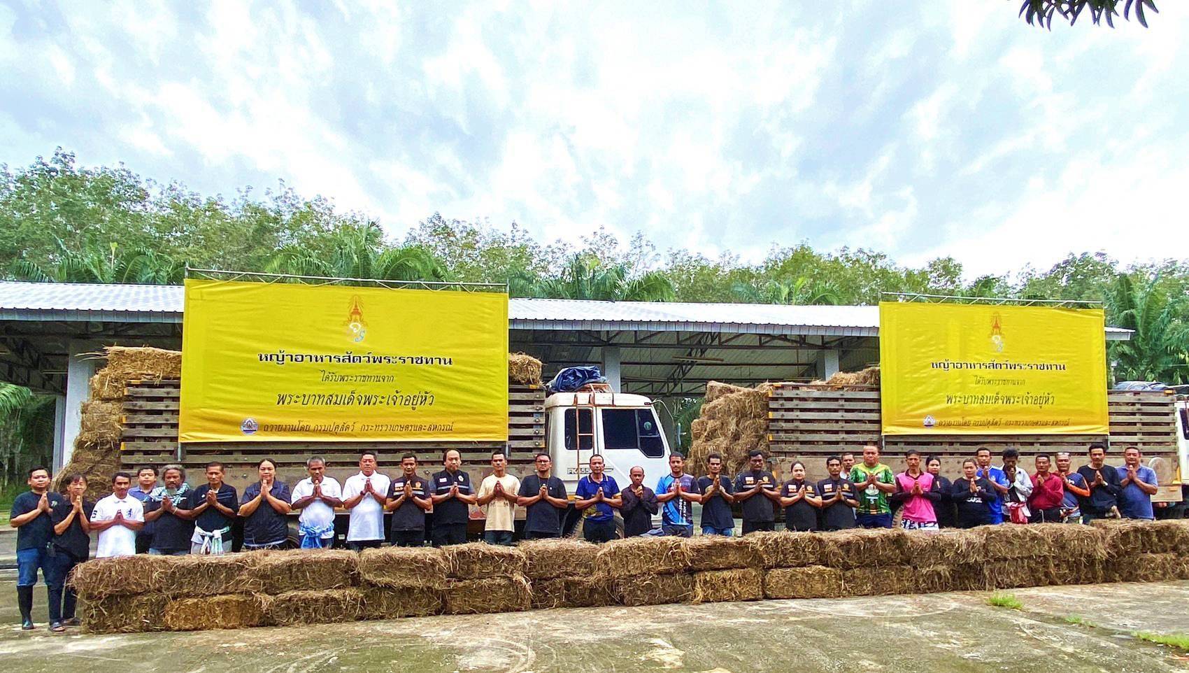 กรมปศุสัตว์ ขานรับข้อสั่งการ รมว.กษ. เตรียมพร้อมเสบียงอาหารสัตว์ตามแผนเผชิญภัยพิบัติด้านปศุสัตว์ พร้อมเร่งช่วยเหลือเกษตรกรผู้เลี้ยงสัตว์ที่ประสบอุทกภัยภาคใต้ 5 271242