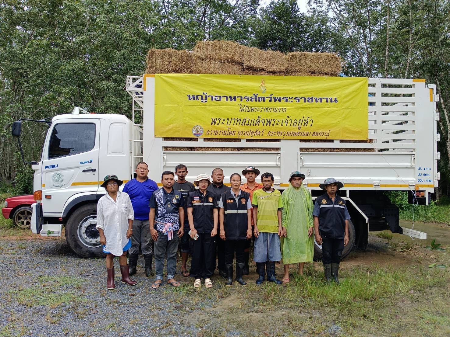 กรมปศุสัตว์ ขานรับข้อสั่งการ รมว.กษ. เตรียมพร้อมเสบียงอาหารสัตว์ตามแผนเผชิญภัยพิบัติด้านปศุสัตว์ พร้อมเร่งช่วยเหลือเกษตรกรผู้เลี้ยงสัตว์ที่ประสบอุทกภัยภาคใต้ 6 271250