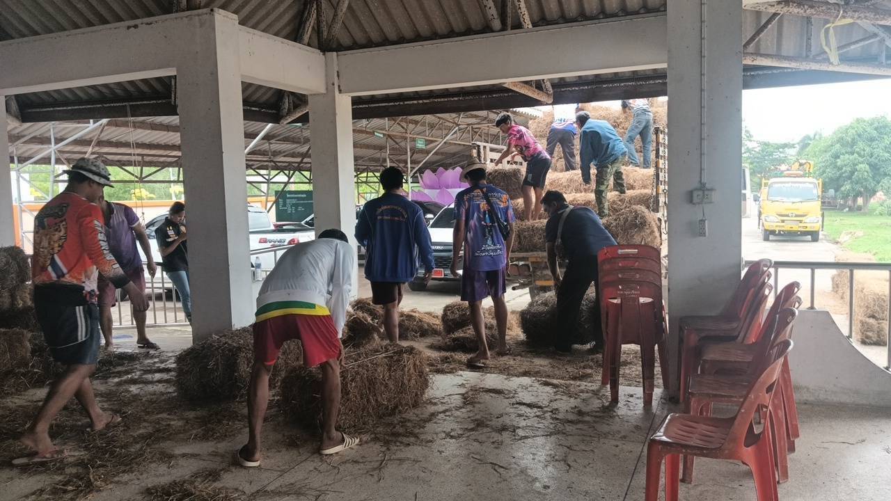 กรมปศุสัตว์ ขานรับข้อสั่งการ รมว.กษ. เตรียมพร้อมเสบียงอาหารสัตว์ตามแผนเผชิญภัยพิบัติด้านปศุสัตว์ พร้อมเร่งช่วยเหลือเกษตรกรผู้เลี้ยงสัตว์ที่ประสบอุทกภัยภาคใต้ 9 271294