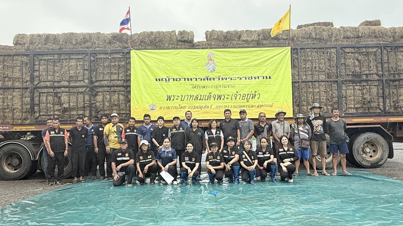 กรมปศุสัตว์เดินหน้าแผนฟื้นฟูอาชีพเกษตรกรใต้ เร่งช่วยเหลือเกษตรกร 9 จังหวัดภาคใต้ แจกหญ้าอาหารสัตว์พระราชทาน–อพยพสัตว์–ส่งทีมสัตวแพทย์ลงพื้นที่ -เปิดเกณฑ์เยียวยาความเสียหายปศุสัตว์ 4 287269