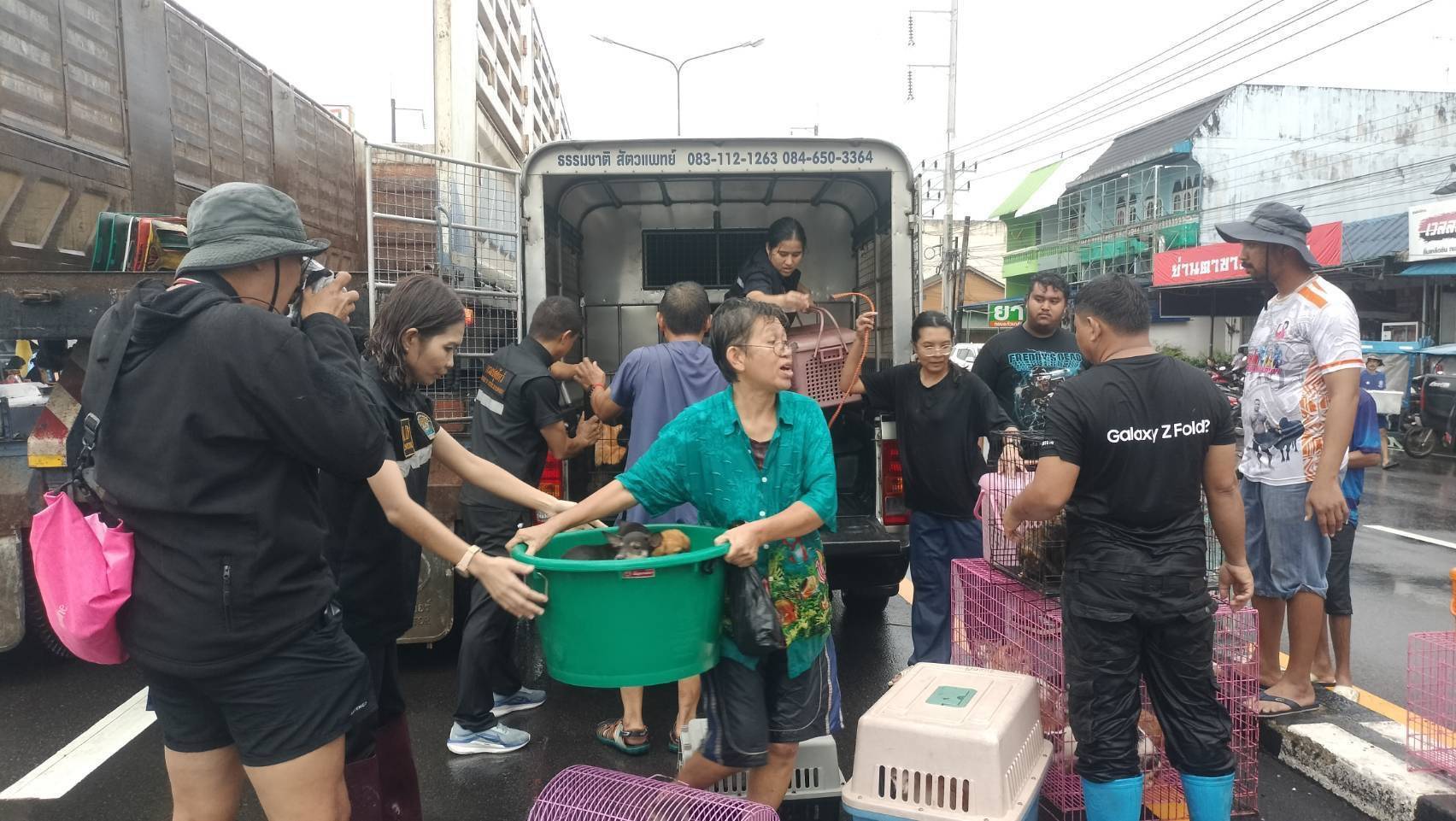 กรมปศุสัตว์เดินหน้าแผนฟื้นฟูอาชีพเกษตรกรใต้ เร่งช่วยเหลือเกษตรกร 9 จังหวัดภาคใต้ แจกหญ้าอาหารสัตว์พระราชทาน–อพยพสัตว์–ส่งทีมสัตวแพทย์ลงพื้นที่ -เปิดเกณฑ์เยียวยาความเสียหายปศุสัตว์ 7 287292