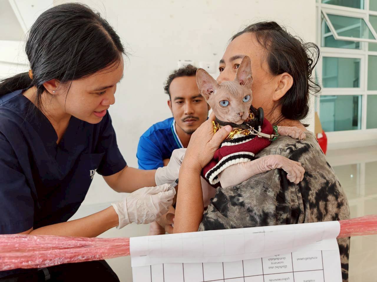 กรมปศุสัตว์เดินหน้าแผนฟื้นฟูอาชีพเกษตรกรใต้ เร่งช่วยเหลือเกษตรกร 9 จังหวัดภาคใต้ แจกหญ้าอาหารสัตว์พระราชทาน–อพยพสัตว์–ส่งทีมสัตวแพทย์ลงพื้นที่ -เปิดเกณฑ์เยียวยาความเสียหายปศุสัตว์ 10 287302