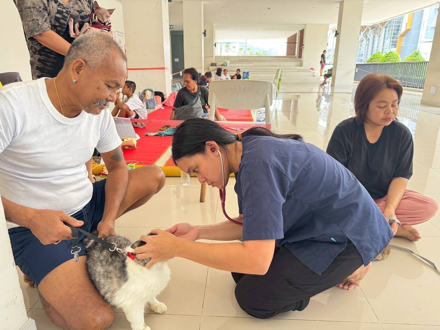 กรมปศุสัตว์เดินหน้าแผนฟื้นฟูอาชีพเกษตรกรใต้ เร่งช่วยเหลือเกษตรกร 9 จังหวัดภาคใต้ แจกหญ้าอาหารสัตว์พระราชทาน–อพยพสัตว์–ส่งทีมสัตวแพทย์ลงพื้นที่ -เปิดเกณฑ์เยียวยาความเสียหายปศุสัตว์ 11 287306