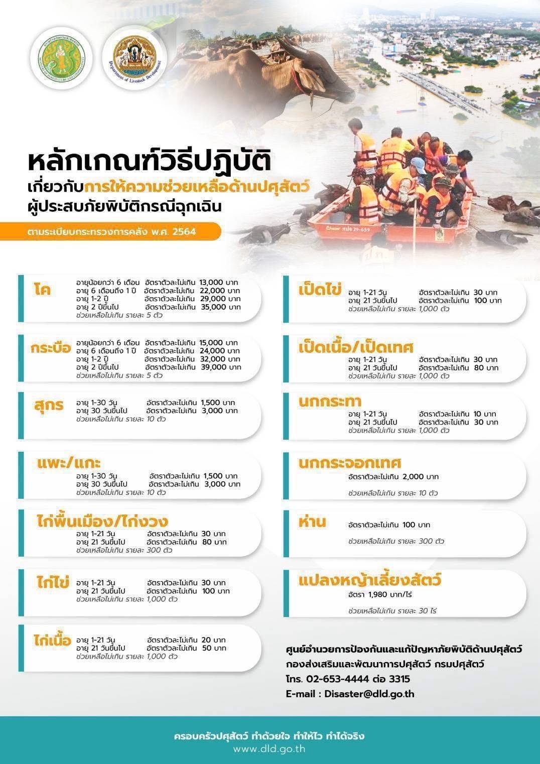 กรมปศุสัตว์เดินหน้าแผนฟื้นฟูอาชีพเกษตรกรใต้ เร่งช่วยเหลือเกษตรกร 9 จังหวัดภาคใต้ แจกหญ้าอาหารสัตว์พระราชทาน–อพยพสัตว์–ส่งทีมสัตวแพทย์ลงพื้นที่ -เปิดเกณฑ์เยียวยาความเสียหายปศุสัตว์ 8 287377