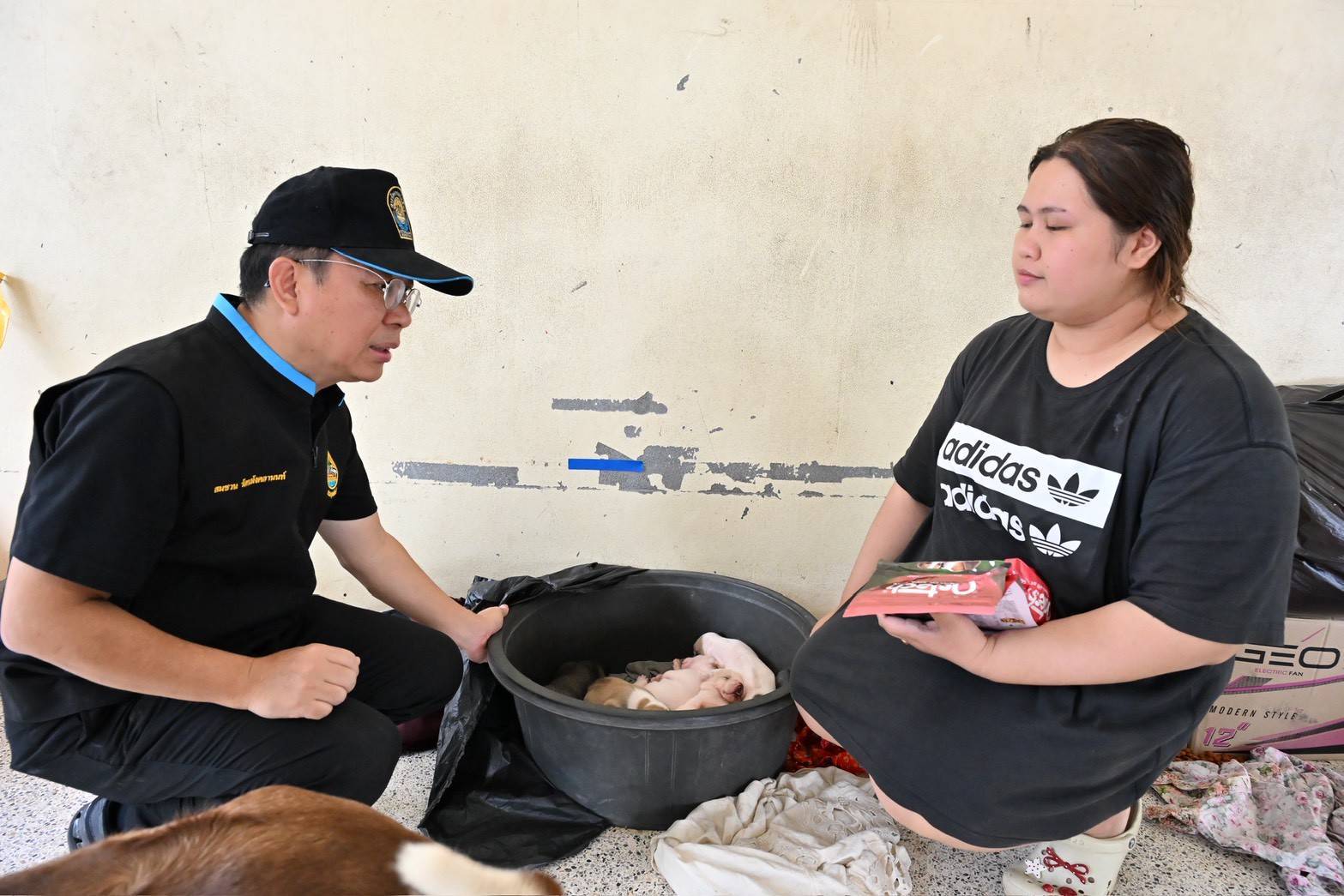 อธิบดีกรมปศุสัตว์ ตรวจเยี่ยมหน่วยสัตวแพทย์เคลื่อนที่ให้บริการตรวจรักษาสัตว์เลี้ยงและแจกอาหารสุนัขและแมวในพื้นที่ประสบอุทกภัยหาดใหญ่ 4 292078