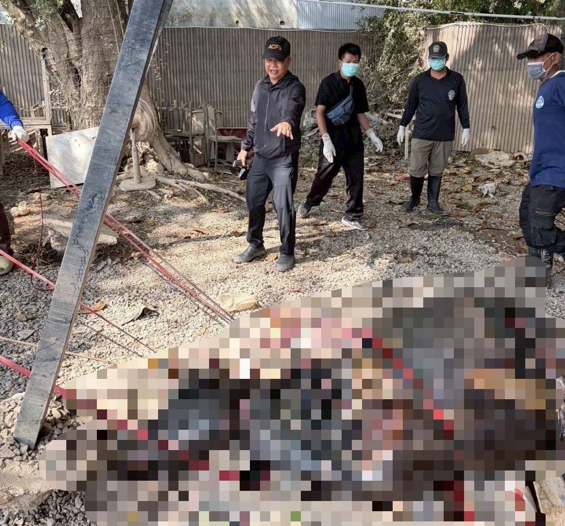 กรมปศุสัตว์เร่งจัดการซากสัตว์หลังน้ำหาดใหญ่ลด กำจัดตามหลักสุขาภิบาล สกัดโรคระบาด 6 295627