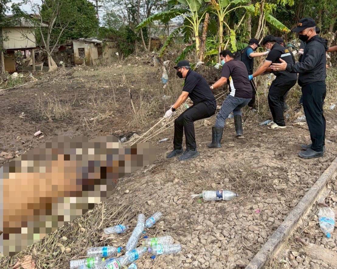 กรมปศุสัตว์เร่งจัดการซากสัตว์หลังน้ำหาดใหญ่ลด กำจัดตามหลักสุขาภิบาล สกัดโรคระบาด 7 295629