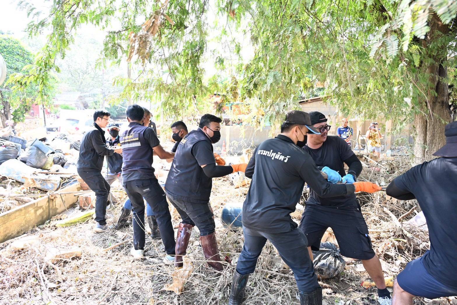 กรมปศุสัตว์เร่งจัดการซากสัตว์หลังน้ำหาดใหญ่ลด กำจัดตามหลักสุขาภิบาล สกัดโรคระบาด 12 295643