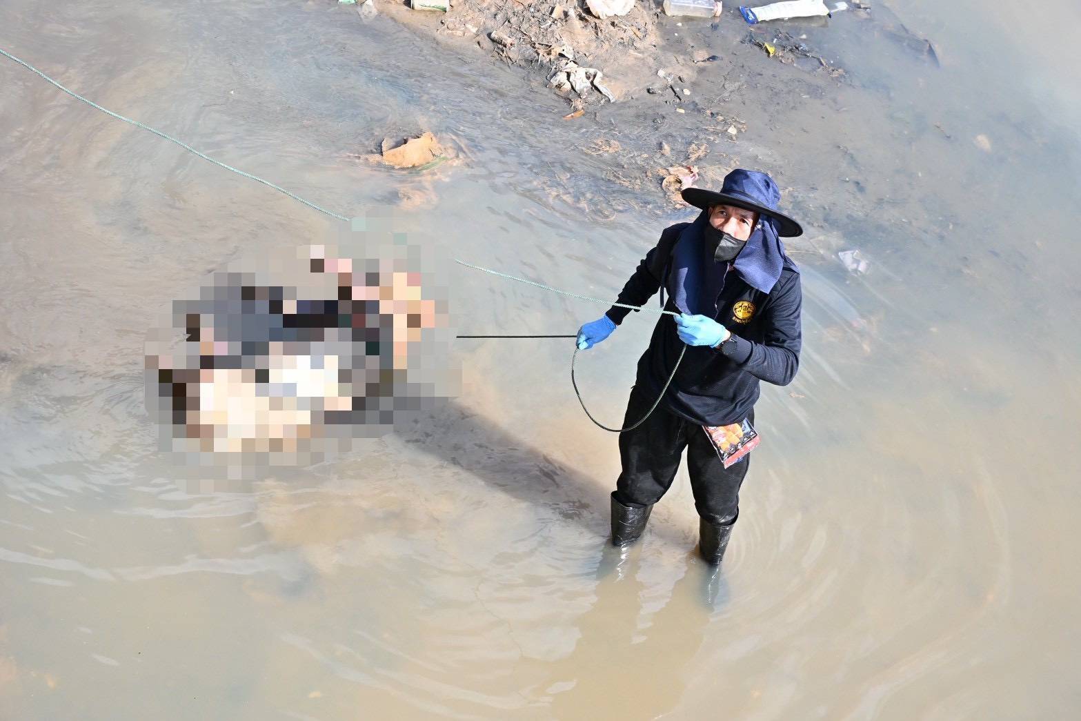 กรมปศุสัตว์เร่งจัดการซากสัตว์หลังน้ำหาดใหญ่ลด กำจัดตามหลักสุขาภิบาล สกัดโรคระบาด 13 295650