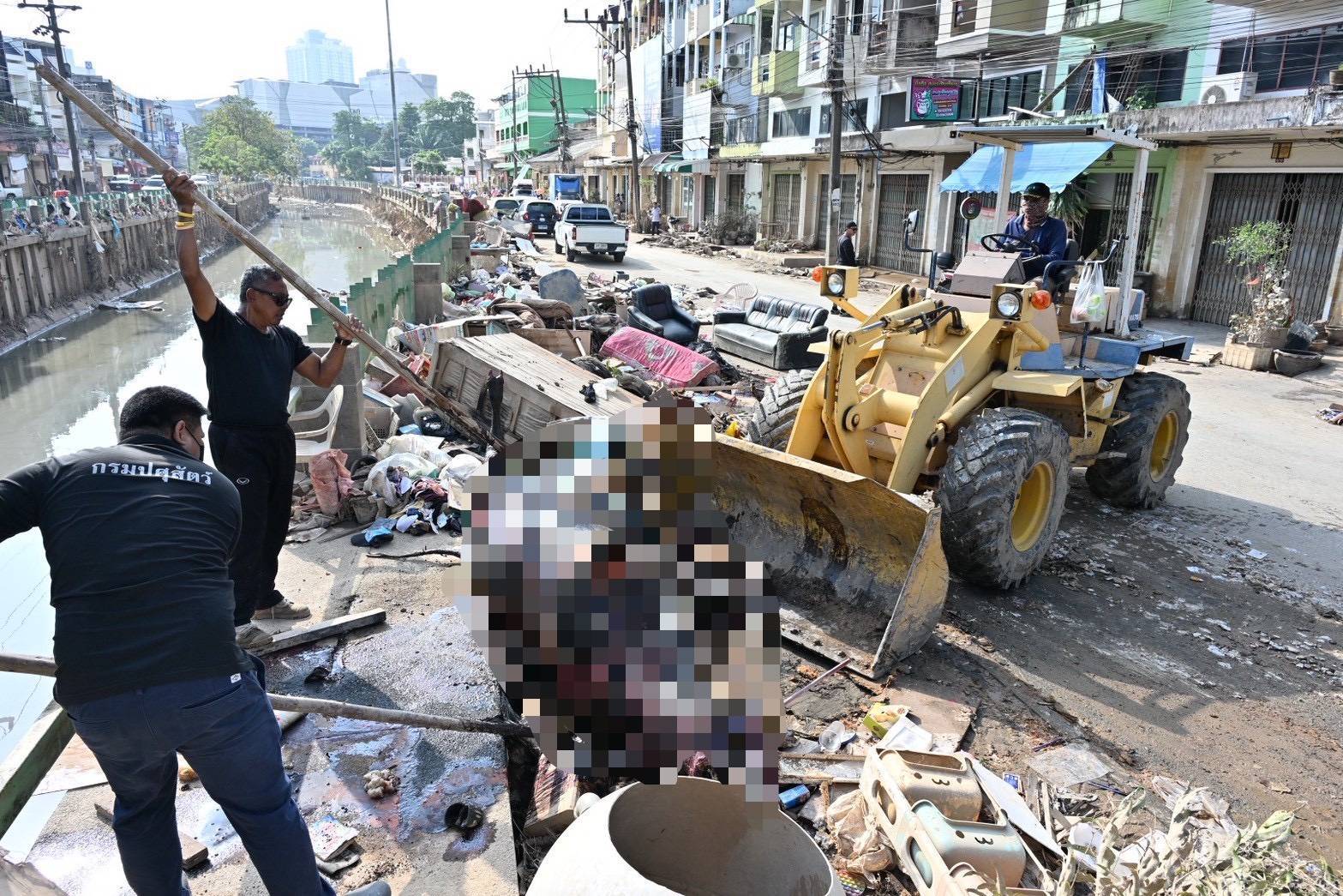 กรมปศุสัตว์เร่งจัดการซากสัตว์หลังน้ำหาดใหญ่ลด กำจัดตามหลักสุขาภิบาล สกัดโรคระบาด 14 295656