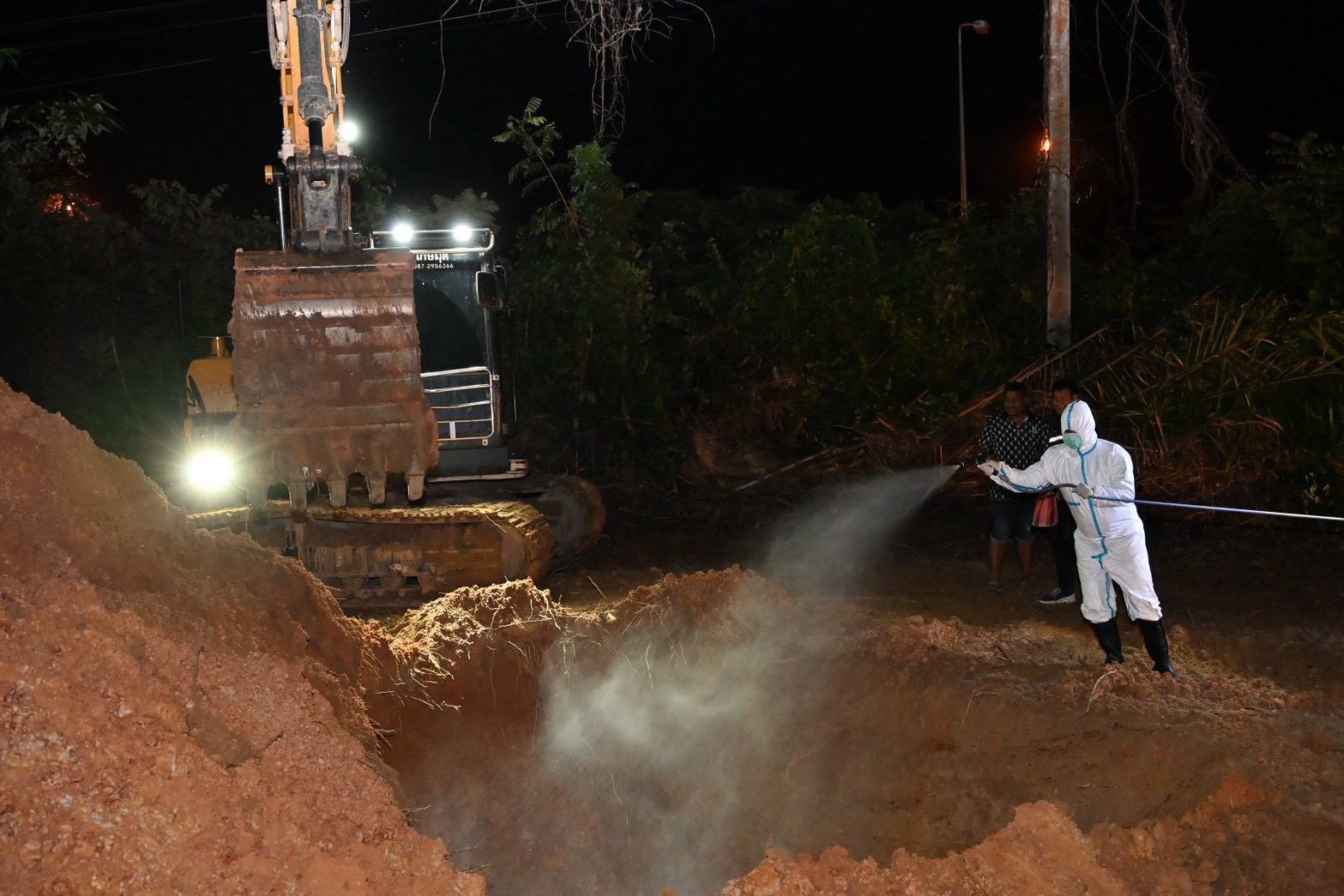 กรมปศุสัตว์เร่งจัดการซากสัตว์หลังน้ำหาดใหญ่ลด กำจัดตามหลักสุขาภิบาล สกัดโรคระบาด 16 295770