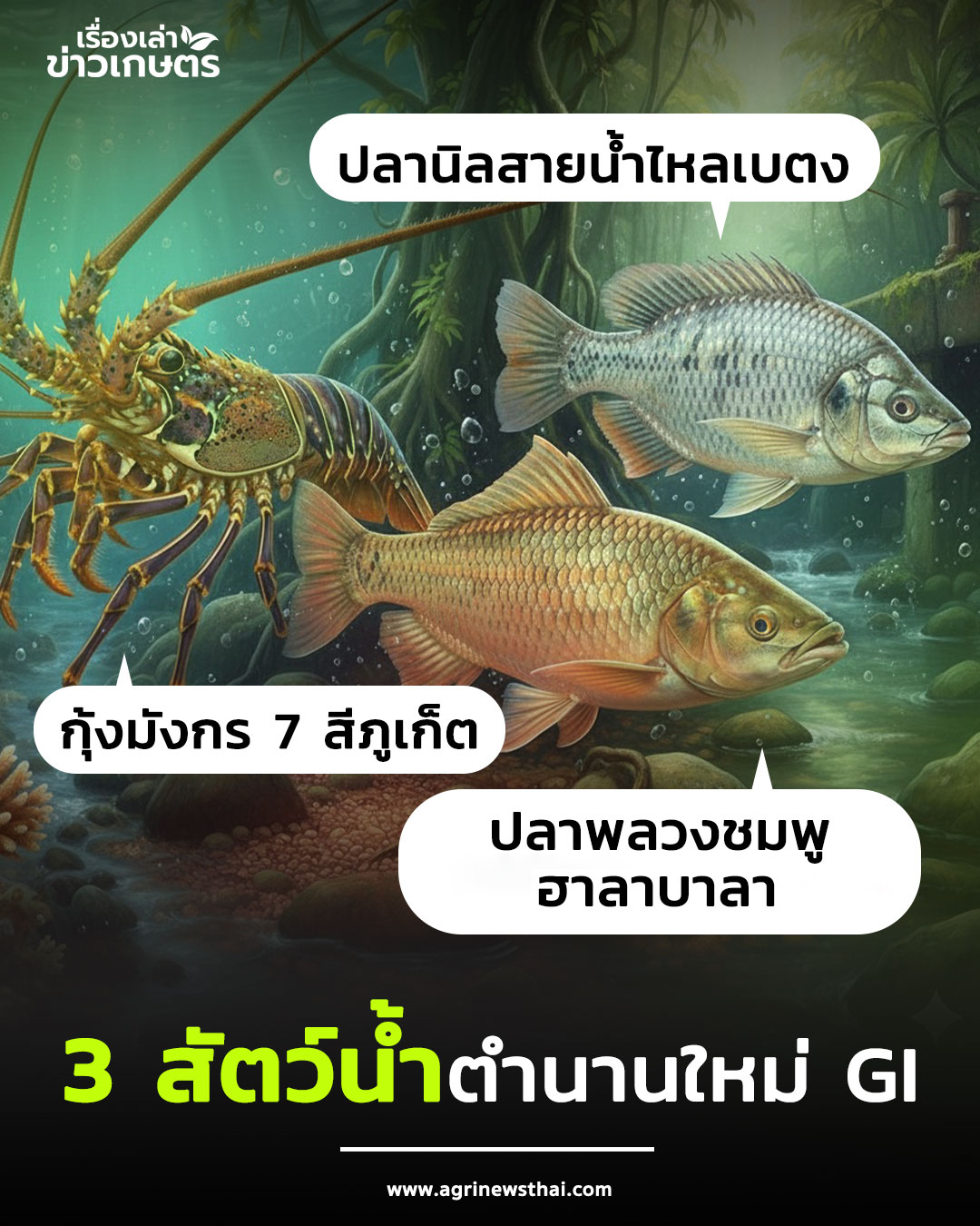3 สัตว์น้ำ แรร์ไอเทม สินค้าประมงที่กำลังอยู่ในกระบวนการยื่นขอ GI 2 3 สัตว์น้ำ ตำนานใหม่GI 1