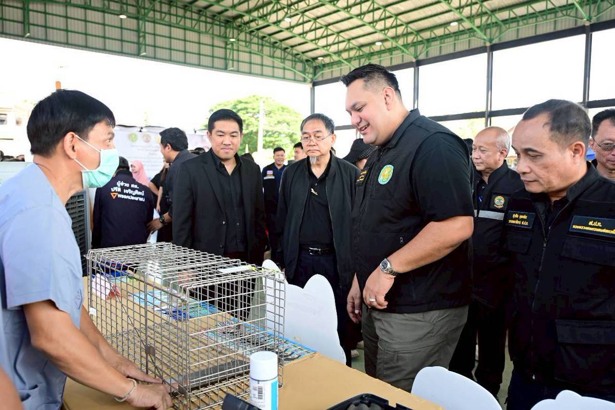รมช.อามินทร์ ลงพื้นที่ จ.นนทบุรี ให้บริการทำหมันสุนัข-แมว ป้องกันโรคพิษสุนัขบ้า พร้อมติดตามสถานการณ์น้ำ 3 3771816