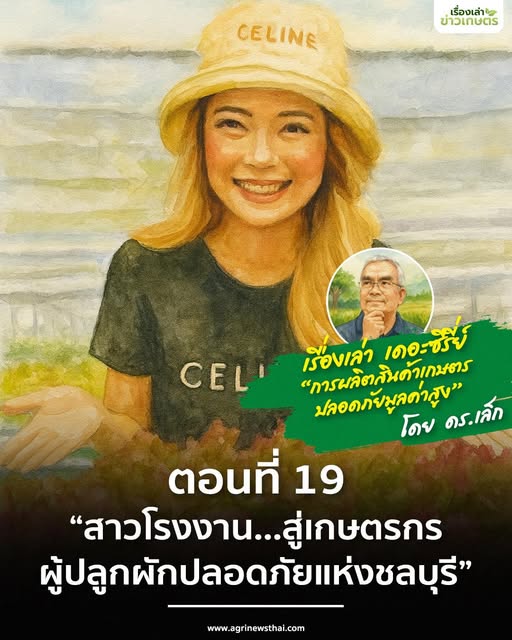 เรื่องเล่า…เดอะซีรีส์ “การผลิตสินค้าเกษตรปลอดภัยมูลค่าสูง” ตอนที่ 19 : “สาวโรงงาน…สู่เกษตรกรผู้ปลูกผักปลอดภัยแห่งชลบุรี” 4 571525202 1632027014784341 3012086140749666032 n
