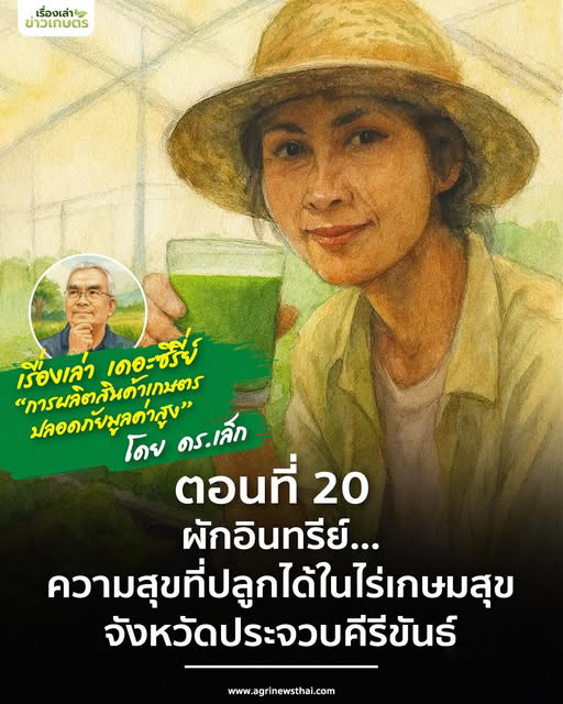 เรื่องเล่า..เดอะซีรีส์ “การผลิตสินค้าเกษตรปลอดภัยมูลค่าสูง” ตอนที่ 20 : “ผักอินทรีย์…ความสุขที่ปลูกได้ในไร่เกษมสุข” จังหวัดประจวบคีรีขันธ์ 5 571624947 1632029518117424 7733863559002740436 n 1