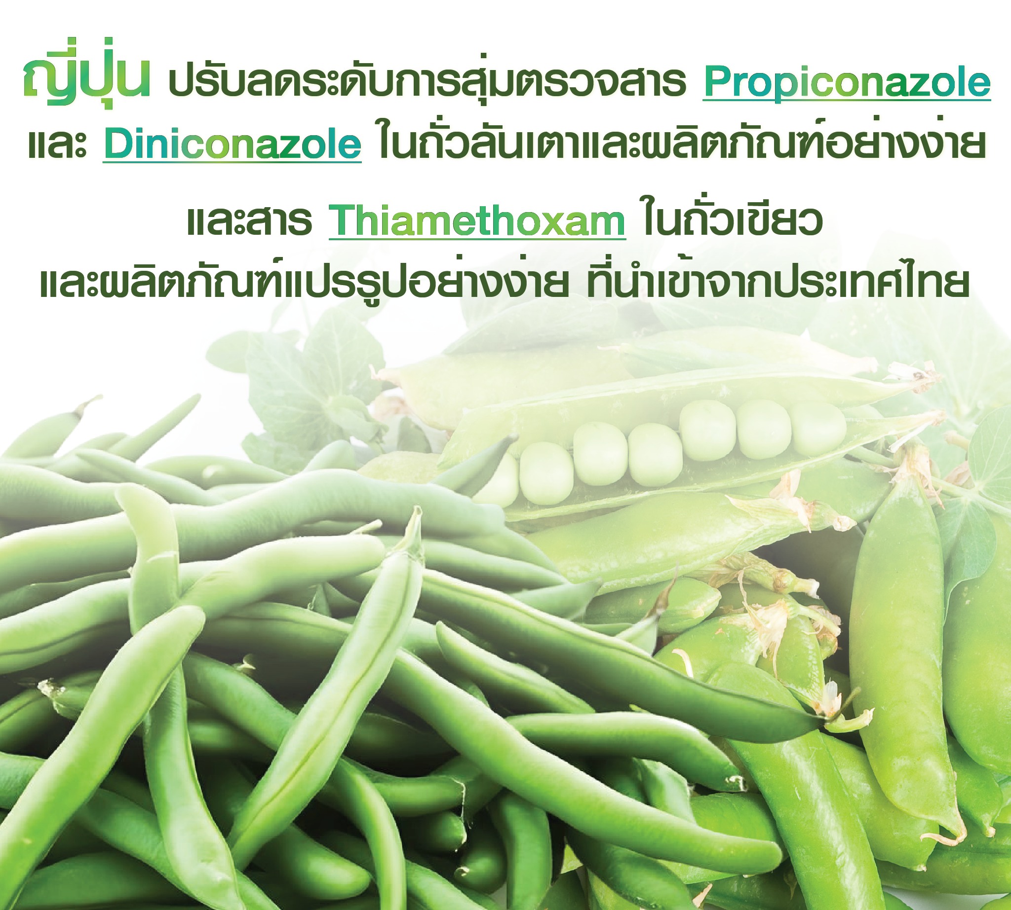 ญี่ปุ่นปรับลดระดับการสุ่มตรวจสาร Propiconazole และ Diniconazole ในถั่วลันเตาและผลิตภัณฑ์อย่างง่าย และสาร Thiamethoxam ในถั่วเขียวและผลิตภัณฑ์แปรรูปอย่างง่าย ที่นำเข้าจากประเทศไทย 2 572771017 1126090499711431 2070394869668837194 n