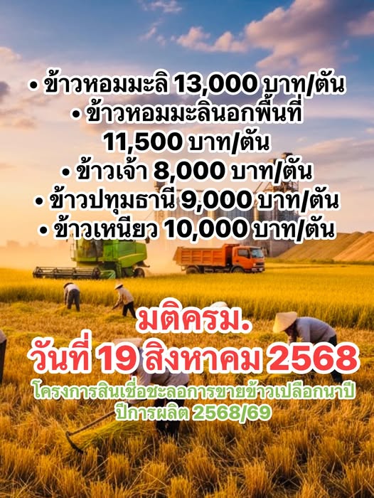 เช็ก ราคาข้าวเปลือก ความชื้น 15% (ข้อมูลจากกระทรวงพาณิชย์ ณ วันที่ 3 พฤศจิกายน 2568) 8 572838791 1629901928330183 2510967373956762320 n