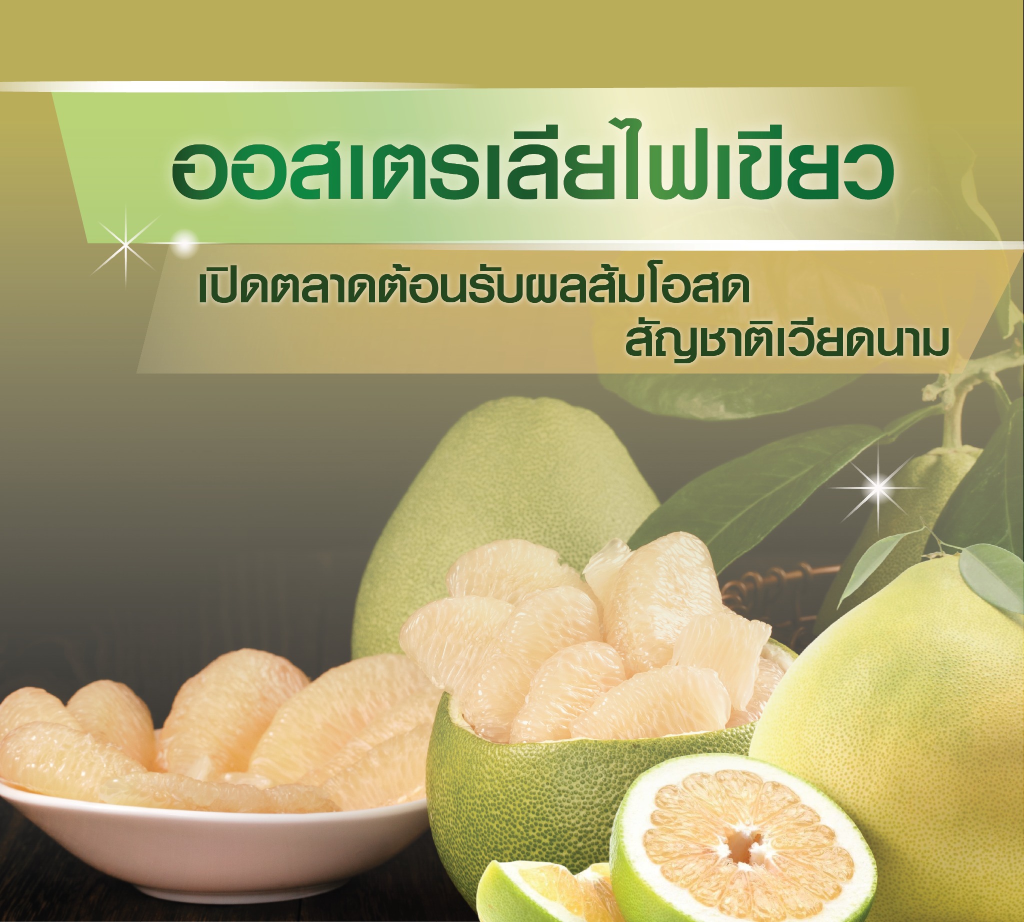 ออสเตรเลียไฟเขียว เปิดตลาดต้อนรับผลส้มโอสดสัญชาติเวียดนาม 2 573297205 1126090566378091 2423518994545070175 n