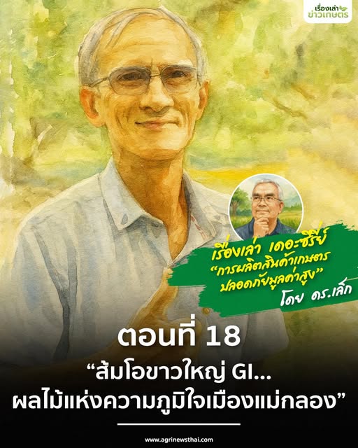 เรื่องเล่า..เดอะซีรีส์ “การผลิตสินค้าเกษตรปลอดภัยมูลค่าสูง” ตอนที่ 18 : “ส้มโอขาวใหญ่ GI…ผลไม้แห่งความภูมิใจเมืองแม่กลอง” 8 574497242 1632024011451308 6975942895326855858 n