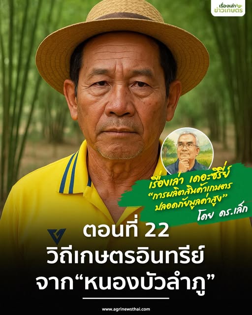 เรื่องเล่า…เดอะซีรีส์ “การผลิตสินค้าเกษตรปลอดภัยมูลค่าสูง” ตอนที่ 22 : วิถีเกษตรอินทรีย์จากหนองบัวลำภู 6 574877552 1633296854657357 8762101428528739446 n