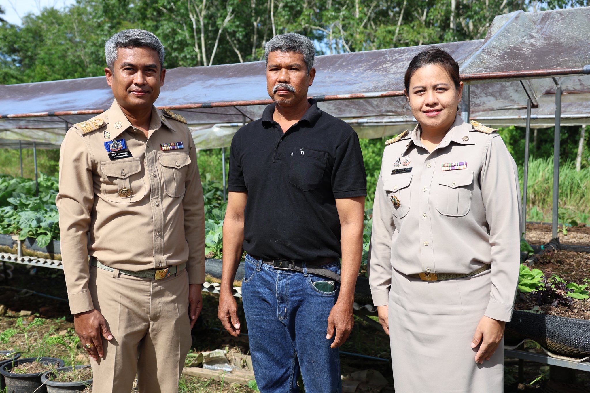 เกษตรกรชาวอำเภอคลองหอยโข่ง ปลูกผักยกแคร่ปลอดสารพิษ เรียนรู้จาก “ฟาร์มของแม่” ขยายผลสู่ธุรกิจครอบครัว สร้างรายได้งาม 2 577013594 1418041639893632 8912605820411351965 n