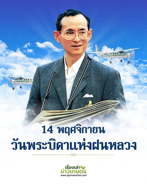 14 พฤศจิกายน 580561942 1643804360273273 343213061920057567 n