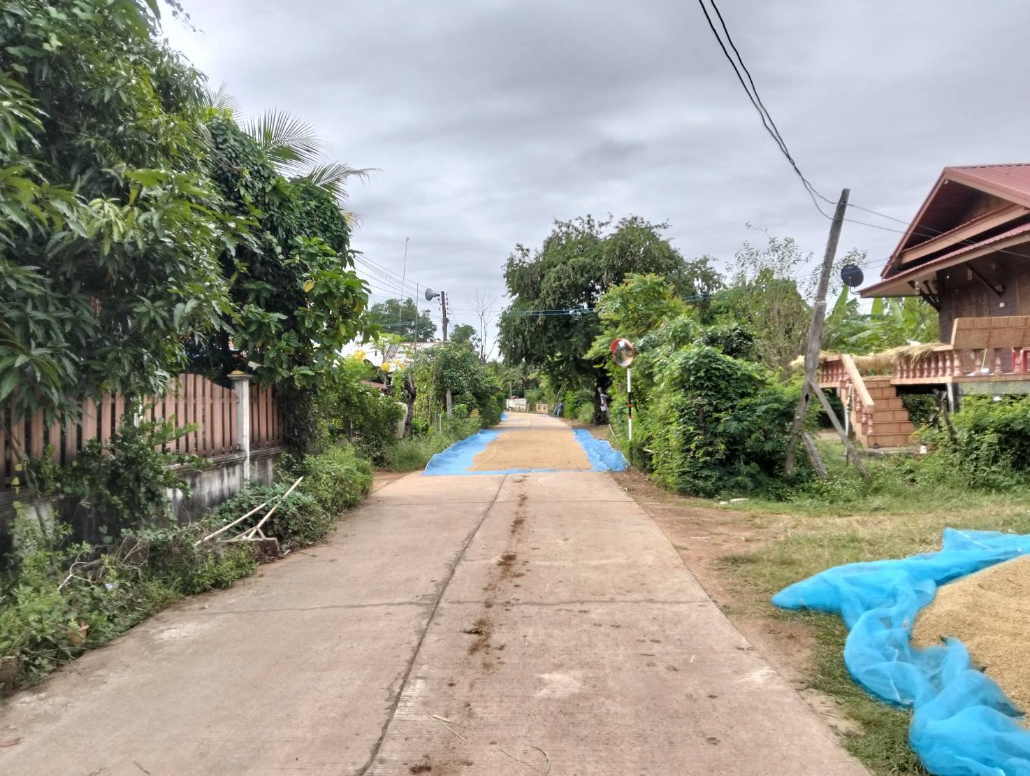 ตำรวจเอาจริงเตือนชาวนา 583013978 1464505675681687 2818998046468865385 n