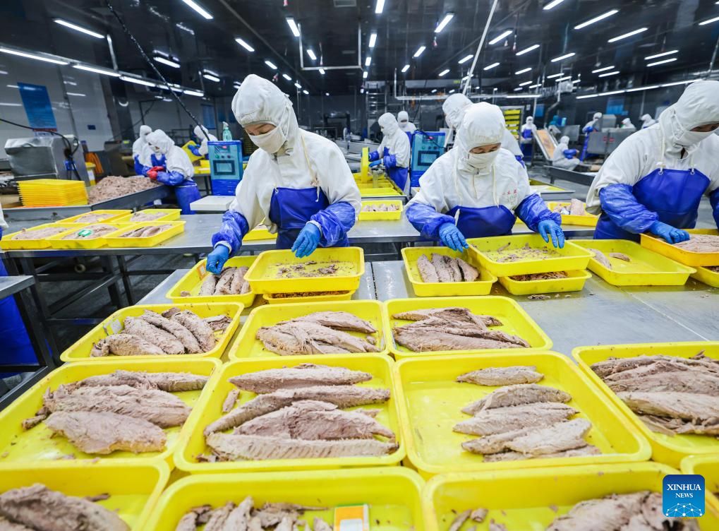 583106308 1294107589424948 5546272344629044233 n