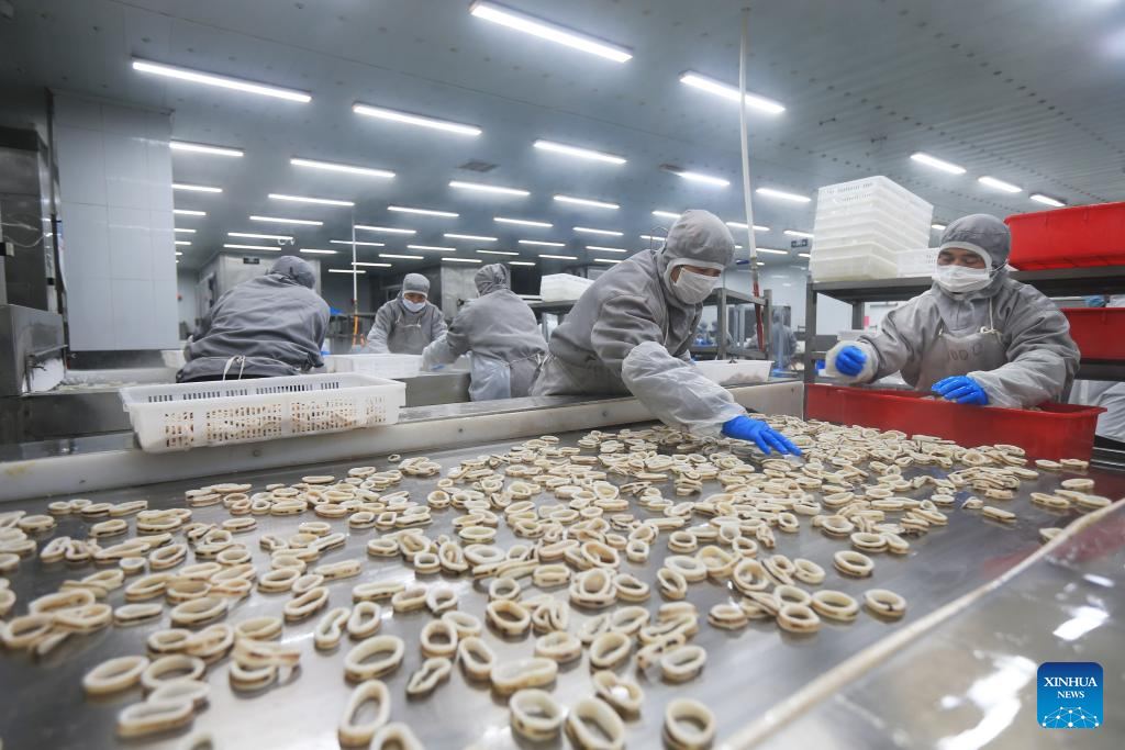 583716338 1294107482758292 3629527516711290127 n