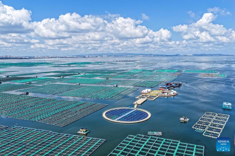 583931894 1294107682758272 5613864125752293803 n