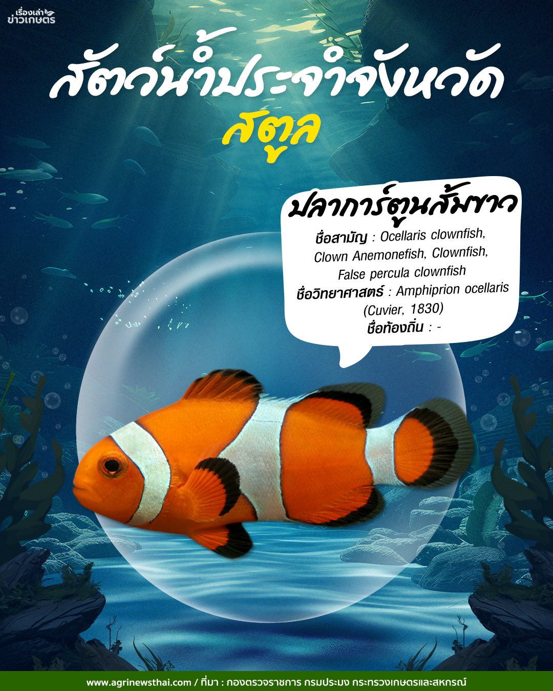 สัตว์น้ำประจำจังหวัดภาคใต้ 20 584210238 1647564393230603 216714854921376833 n