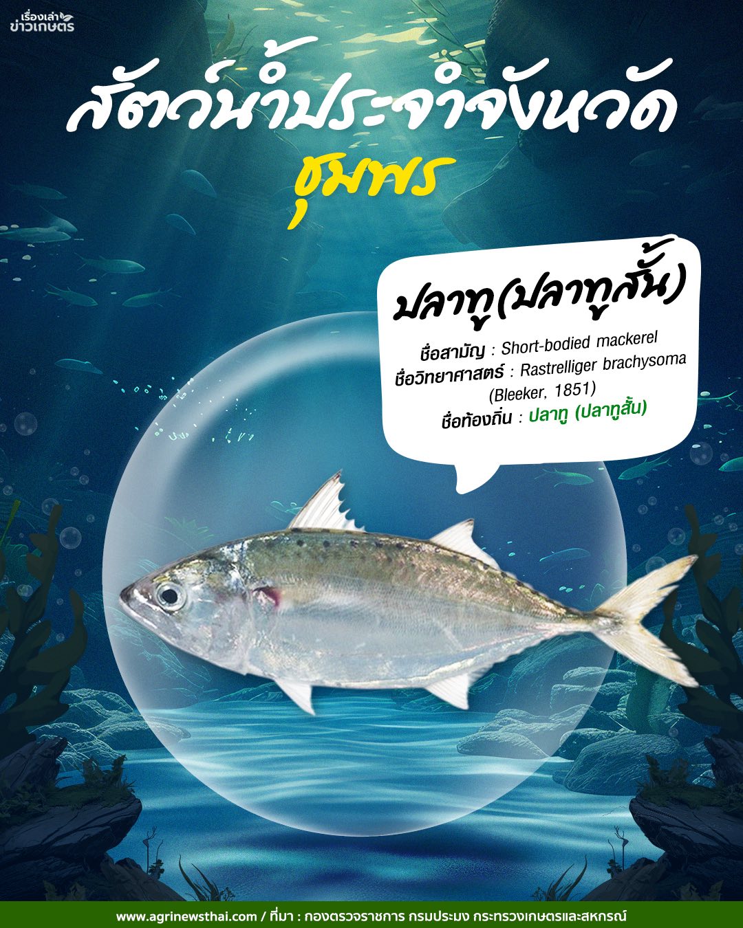 584289556 1647563839897325 2788861463132316416 n