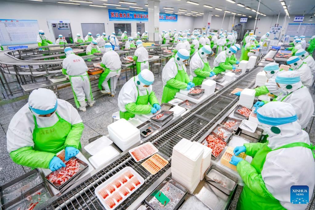 584507170 1294107592758281 7199566526894196135 n