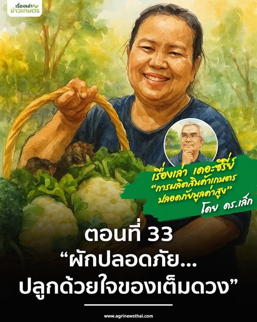 เรื่องเล่าเดอะซีรีส์ ตอนที่ 33 “ผักปลอดภัย…ปลูกด้วยใจของเต็มดวง” 5 584685778 1649717343015308 453399714026963298 n