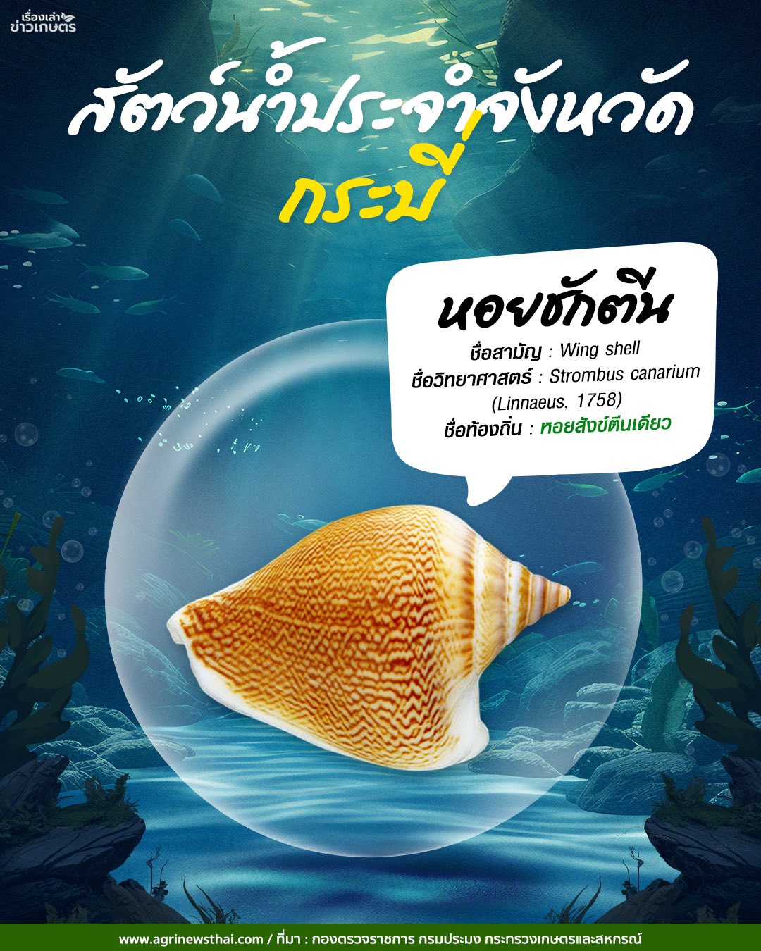 สัตว์น้ำประจำจังหวัดภาคใต้ 14 585191461 1647564409897268 268409449593615649 n