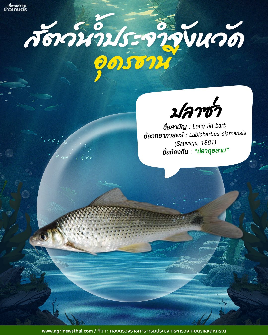 สัตว์น้ำประจำจังหวัดภาคอีสาน 19 585402533 1648088153178227 4350167673531004862 n