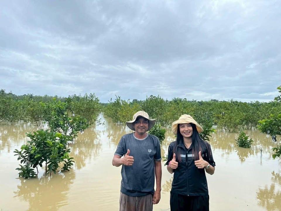 586224978 1652312882755754 3090385273074875728 n