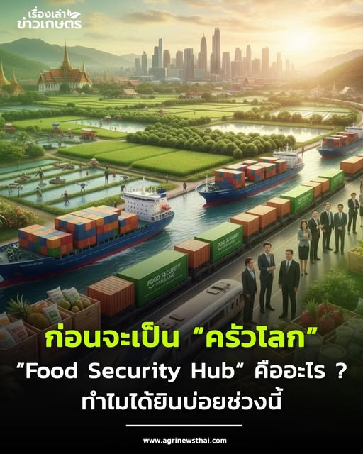 587222841 1653044126015963 633205751287990093 n