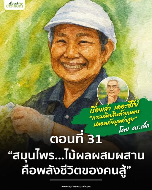 เรื่องเล่าเดอะซีรีส์ ตอนที่ 31 “สมุนไพร…ไม้ผลผสมผสาน คือพลังชีวิตของคนสู้” 5 587536751 1649224959731213 6110944966619887800 n