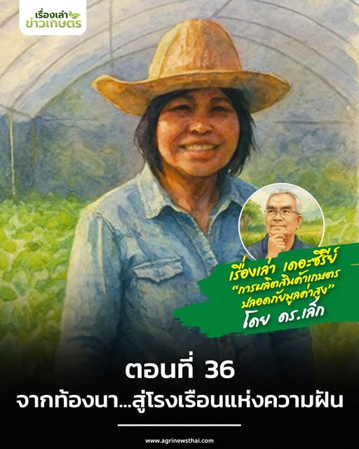 เรื่องเล่าเดอะซีรีส์ ตอนที่ 36 “จากท้องนา…สู่โรงเรือนแห่งความฝัน” 5 588656740 1652572869396422 2118421142349701837 n