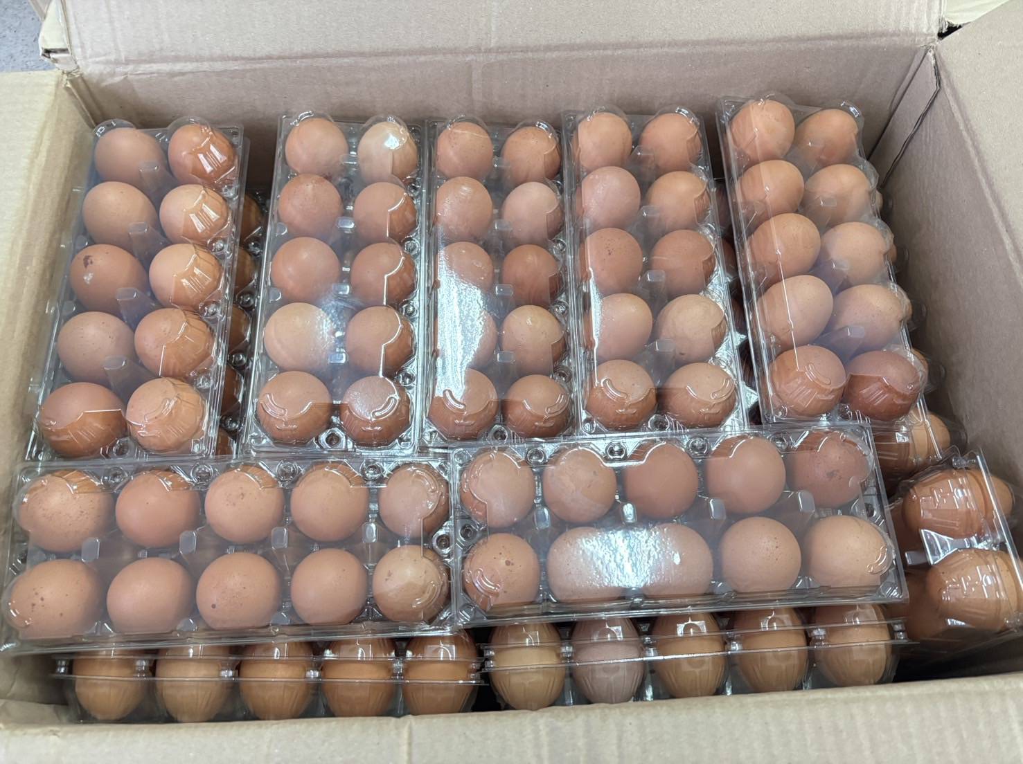 อธิบดีกรมการข้าวสั่งด่วน เร่งช่วยเกษตรกรน้ำท่วมภาคใต้ 589821529 1383698053793319 2663949051547727441 n