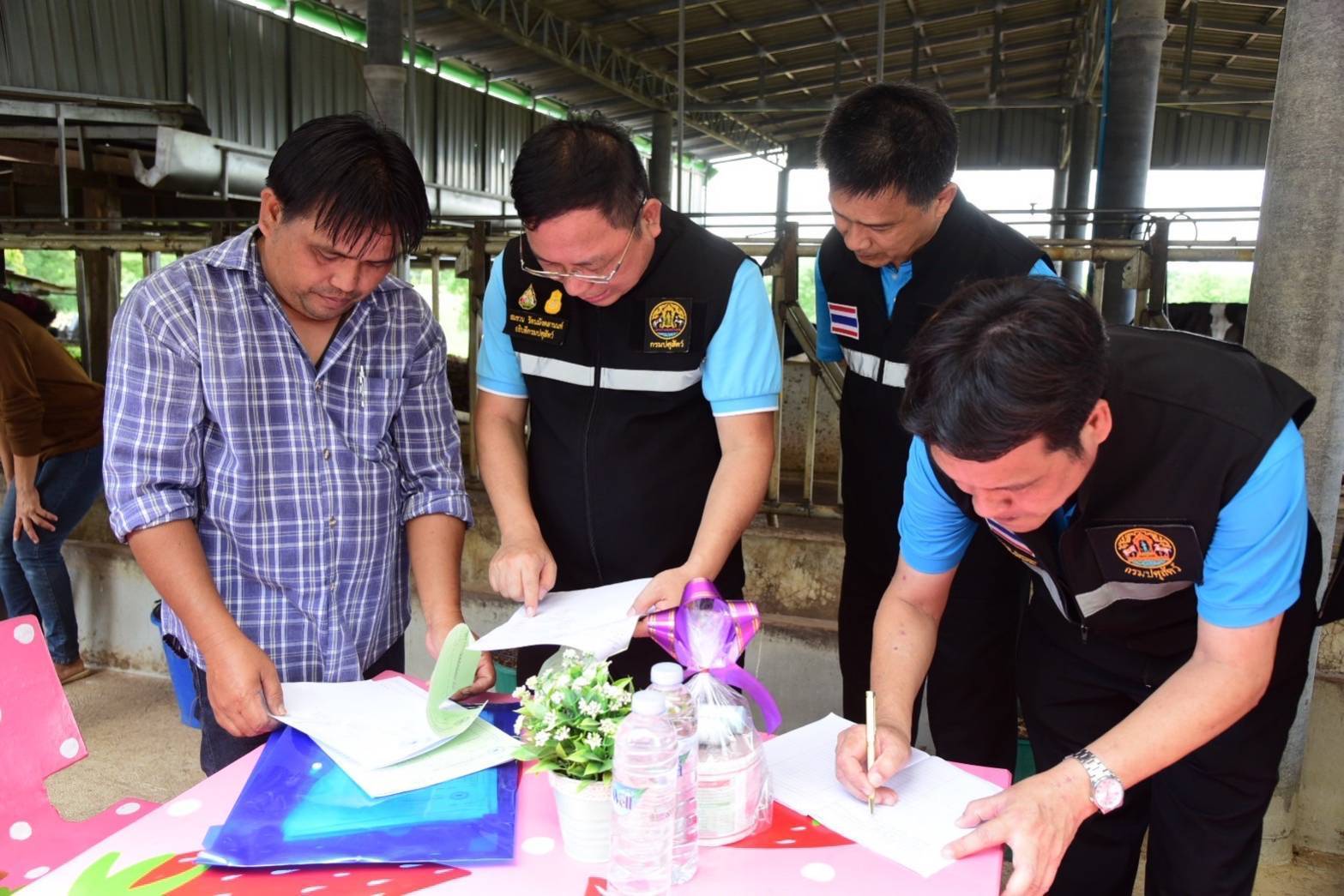 กรมปศุสัตว์ยืนยัน น้ำนมโคสดไทยปลอดภัยทุกหยด คุมเข้มตั้งแต่ฟาร์มถึงผู้บริโภค 5 592170