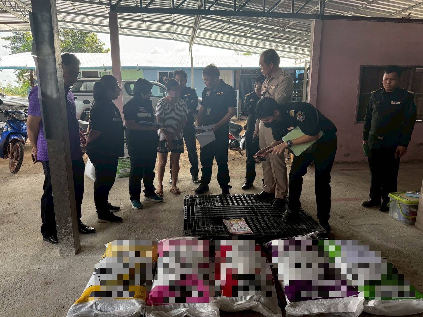 กรมปศุสัตว์บุกจับอาหารสัตว์เถื่อนในจังหวัดอำนาจเจริญ ขายผ่านออนไลน์ อายัดได้กว่า 400 กระสอบ 8 597940